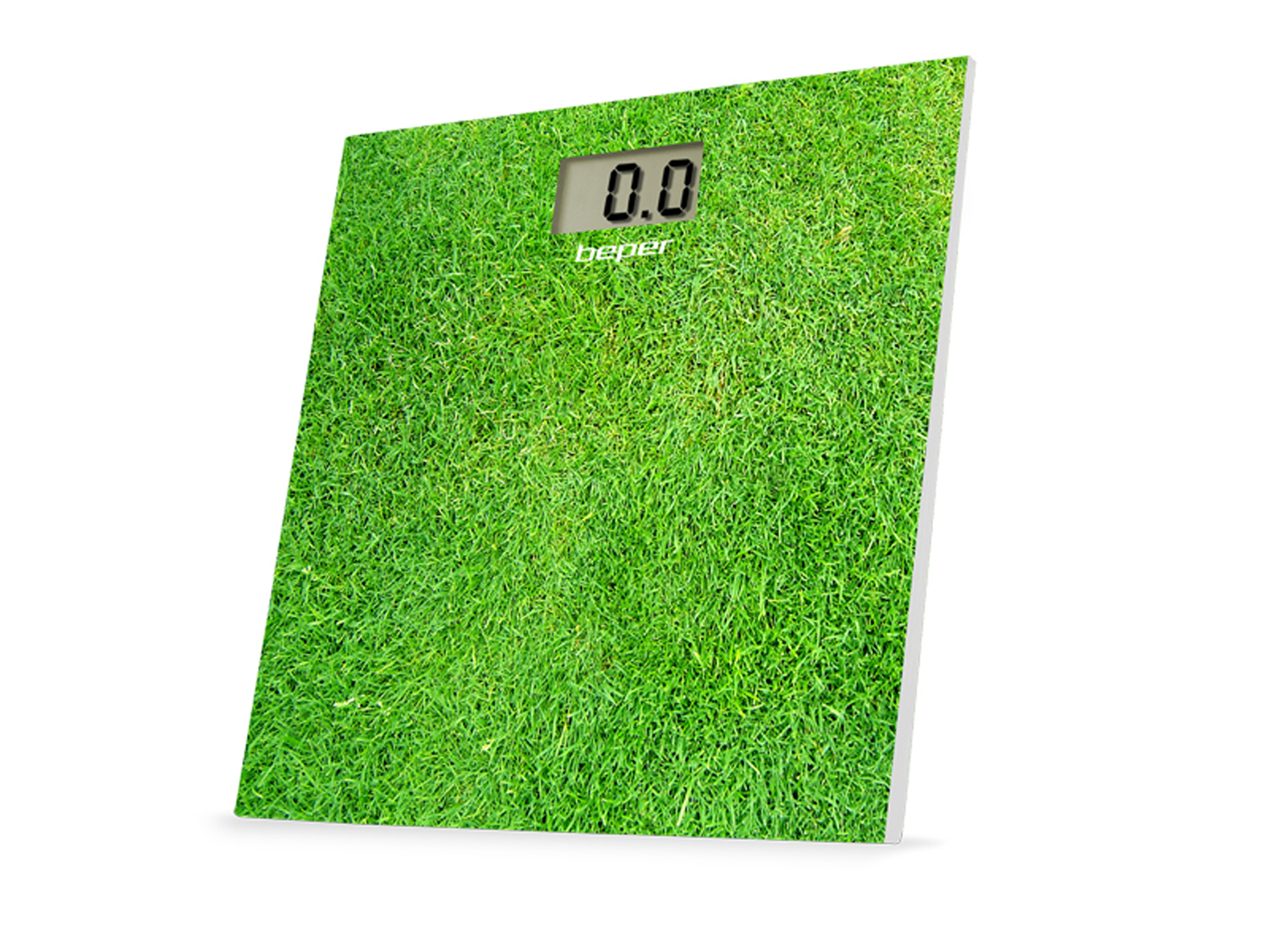 40.810F3, body scale, grass